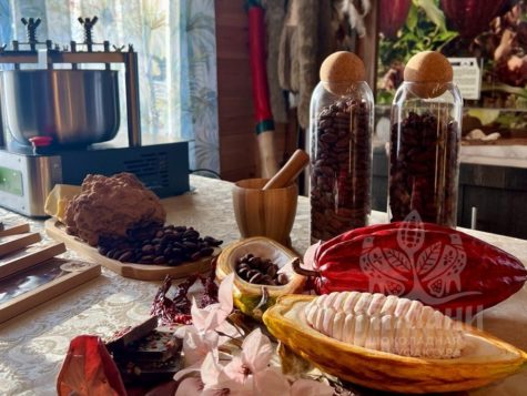 Какао-плоды