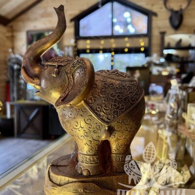 photo_2023-02-09_21-14-59